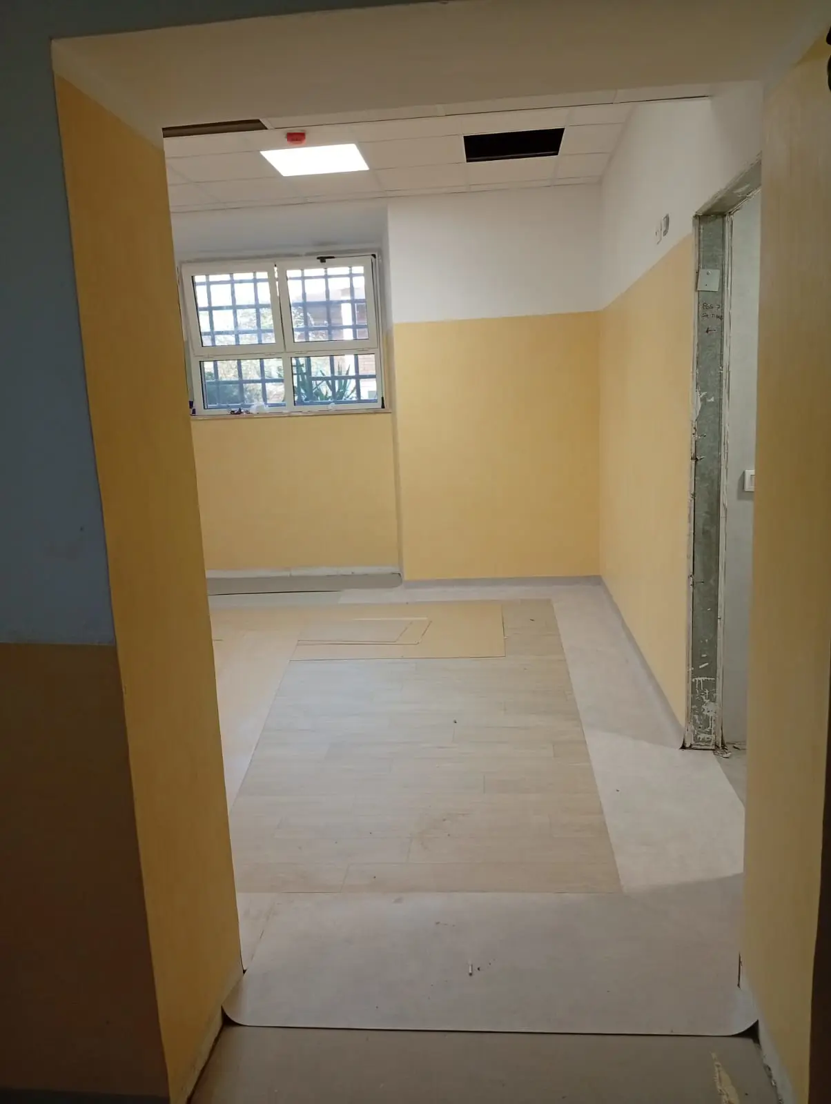 Job Image